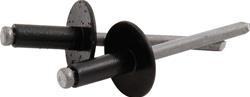 Allstar Performance ALL18168 - Allstar Performance Large Head Rivets