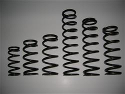 Landrum Performance Spring L600 - Landrum Coil-Over Springs