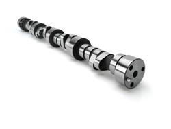 Lunati 10120703 Lunati Voodoo Camshafts Summit Racing