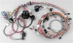 Painless Wiring 60214 - Painless Performance Fuel Injection Harnesses