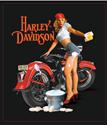 Genuine Hotrod Hardware 2010371 - Genuine Hotrod Hardware Harley-Davidson® Signs
