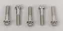 ARP 613-1750 - ARP Stainless Steel Bolts