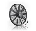 Be Cool Qualifier Fans
