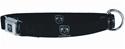 Click here for more information about Buckle-Down Dodge Ram Dog Collars