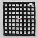 RJS Racing Equipment 1000 - RJS Ribbon Window Safety Nets