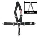 RJS Racing Equipment 30298-16-23 - RJS Camlock Quick Release Harnesses