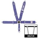 RJS Racing Equipment 30298-19-063 - RJS Camlock Quick Release Harnesses