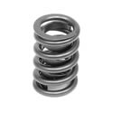 Brodix Cylinder Heads GA1000 - Brodix Cylinder Heads Valve Springs