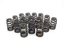 COMP Cams 26986-16 - COMP Cams Valve Springs