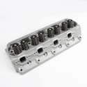 Racing Head Service (RHS) 35017-01 - RHS Pro Action Small Block Ford Cylinder Heads