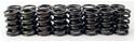 COMP Cams 911-16 - COMP Cams Valve Springs