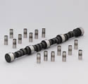 Edelbrock Performer RPM Cam and Lifter Kits