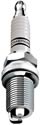 Champion Platinum Power Spark Plugs