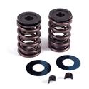 Crane Cams 10308-1 - Crane Valve Spring and Retainer Kits