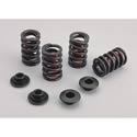Crane Cams 11308-1 - Crane Valve Spring and Retainer Kits
