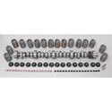 Crane Cams 444212 - Crane CompuCam Camshaft and Spring Kits