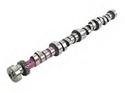 Mopar Performance P4120231AC - Mopar Performance Purple Camshaft Kits