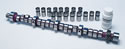 Mopar Performance Purple Camshaft Kits