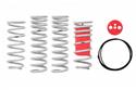 Eibach Drag-Launch Springs