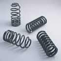 Ford Racing M-5300-C - Ford Racing Lowering Spring Kits