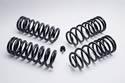 Ford Racing M-5300-G - Ford Racing Lowering Spring Kits