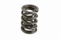Ford Racing M-6513-A351 - Ford Racing Valve Springs