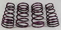 Intrax Suspension Super Sport Spring Sets