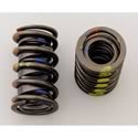 Isky Racing Cams 6005 - Isky Valve Springs
