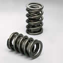 Isky Racing Cams 9985 - Isky Valve Springs