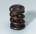 K-Motion K-1000H - K-Motion Valve Springs