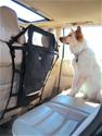 Kurgo 00006 - Kurgo Backseat Barriers