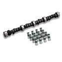 Lunati 01001LK - Lunati Street Avenger Cam and Lifter Kits