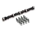 Lunati 06103LK - Lunati High Efficiency Cam and Lifter Kits