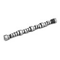 Lunati 501A4LUN - Lunati Retrofit Hydraulic Roller Tappet Camshafts