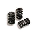Lunati 73925K1LUN - Lunati Voodoo Valve Spring and Retainer Kits