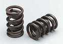 Lunati 73943 - Lunati Intro Series Valve Springs