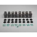 Lunati Voodoo Valve Spring and Retainer Kits