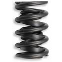 Isky Racing Cams 7005-12 - Isky Valve Springs