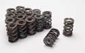Manley 221425-16 - Manley NexTek Valve Springs