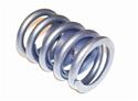 Melling Valve Springs