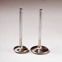 Manley Budget Series Replacement Valves