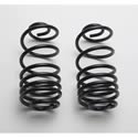 Click here for more information about Moog Cargo Control Coil Springs