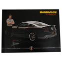 MagnaFlow Posters