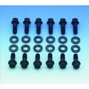 Click here for more information about Mr. Gasket Super Intake Manifold Bolts