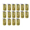 GM Performance 12499224 - GM Performance Valve Springs