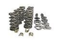 Patriot Performance 8501 - Patriot Performance Xtreme Valve Spring and Retainer Kits