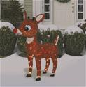 Click here for more information about Genuine Hotrod Hardware® Rudolph Lawn Ornaments