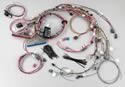 Painless Wiring 60217 - Painless Performance Fuel Injection Harnesses