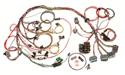Painless Wiring 60502 - Painless Performance Fuel Injection Harnesses