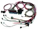 Painless Wiring 60508 - Painless Performance Fuel Injection Harnesses